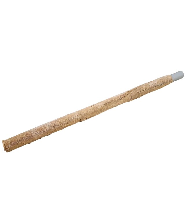 Naturelle Papita Zali op buis | Diameter 30 millimeter | Lengte 80 centimeter | Per 10 stuks te bestellen