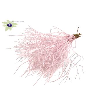 QC Huckelberry per bos licht roze | Per 5 stuks