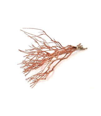 QC Curly bush ± 40cm 5pc per bunch Copper ( x 5 )