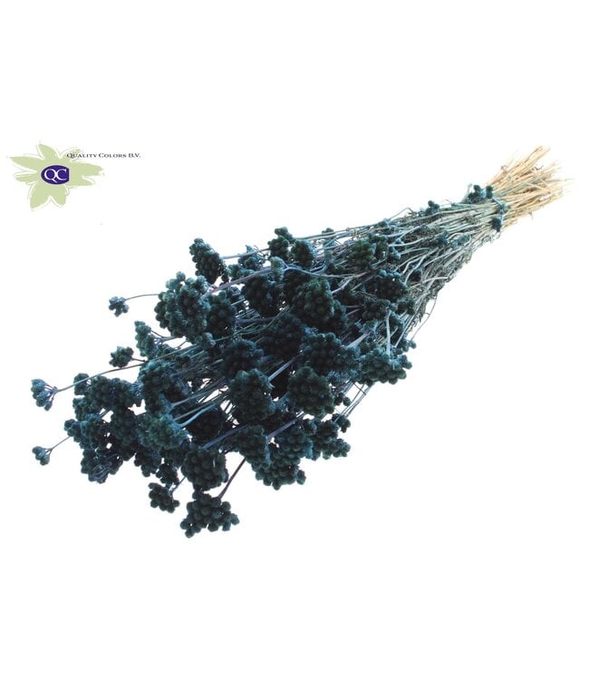 Lona per bunch Dark Blue ( x 20 )