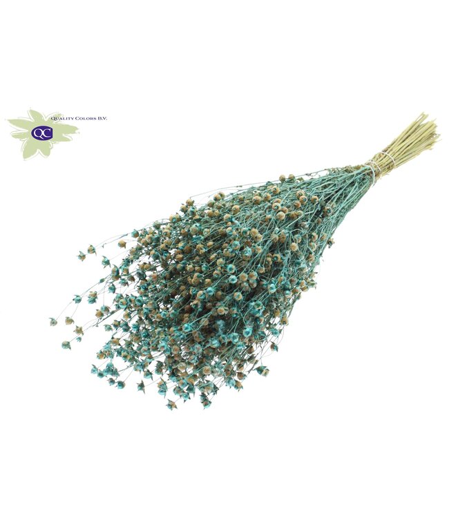 Lino Vlas per bunch Pearl Turquoise ( x 6 )