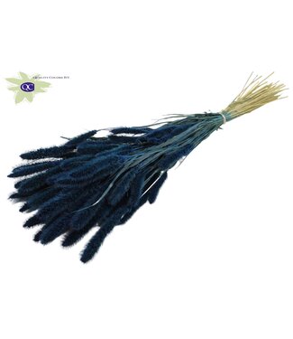 QC Setaria per bos donkerblauw | Per 15 stuks