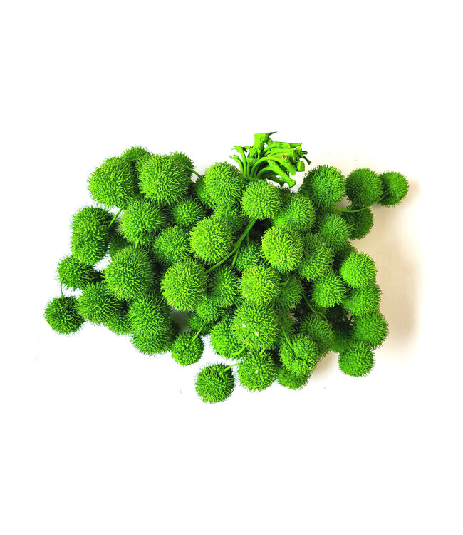 Small ball per bunch in poly Green ( x 5 )