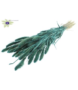 QC Setaria per bunch Pearl Turquoise ( x 6 )