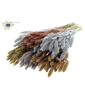 QC Setaria per bunch Mixed colours Metallic ( x 15 )