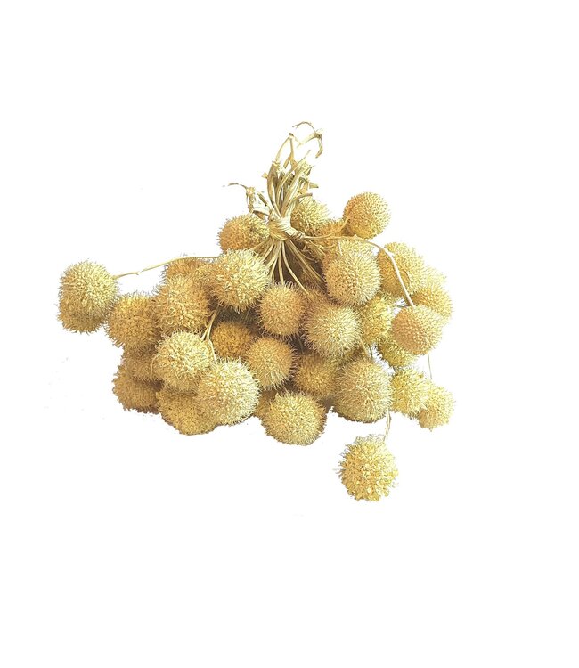 Small ball per bunch in poly Light Yellow ( x 5 )