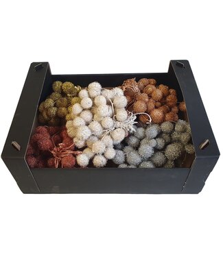 QC Small ball per bos in poly gemengde kleuren Christmass 1 | Per 5 stuks