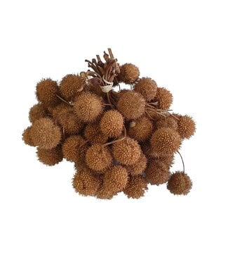 QC Small ball per bos in poly naturel | Per 5 stuks