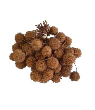 QC Small ball per bunch in poly Natural ( x 5 )