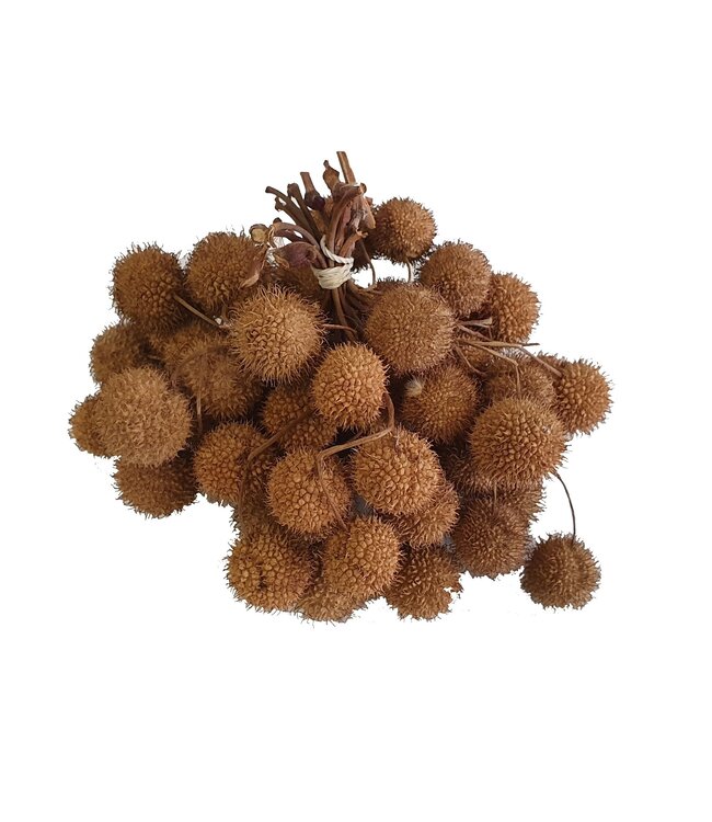 Small ball per bunch in poly Natural ( x 5 )