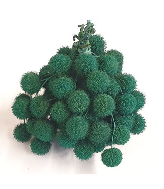 QC Small ball per bos in poly turkoois | Per 5 stuks
