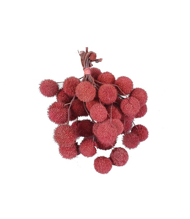 Small ball per bos in poly mat roze | Per 5 stuks te bestellen