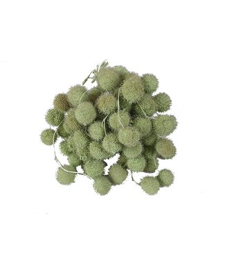 QC Small ball per bos in poly muntgroen | Per 5 stuks