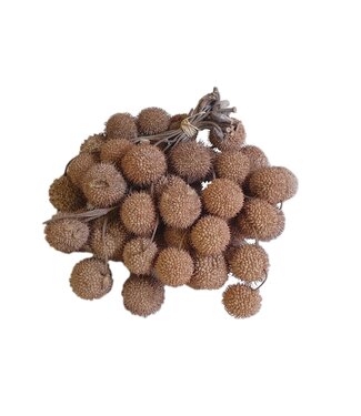 QC Small ball per bos in poly mat wit | Per 5 stuks