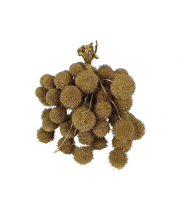 Small ball per bunch in poly Gold ( x 5 )