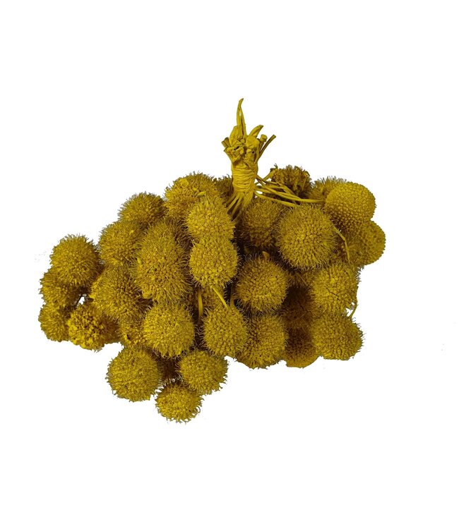 Small ball per bunch in poly Yellow ( x 5 )