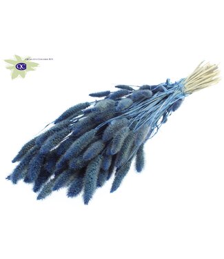 QC Setaria per bunch Pearl Blue ( x 6 )