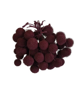 QC Small ball per bunch in poly Burgundy ( x 5 )