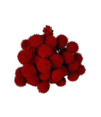 QC Small ball per bos in poly rood met glitters | Per 5 stuks