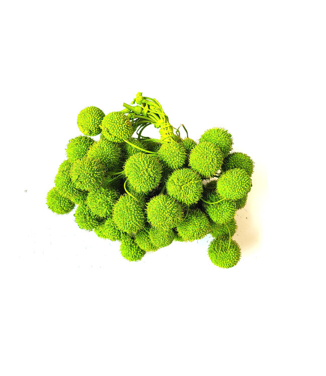 Small ball per bunch in poly Light Green ( x 5 )