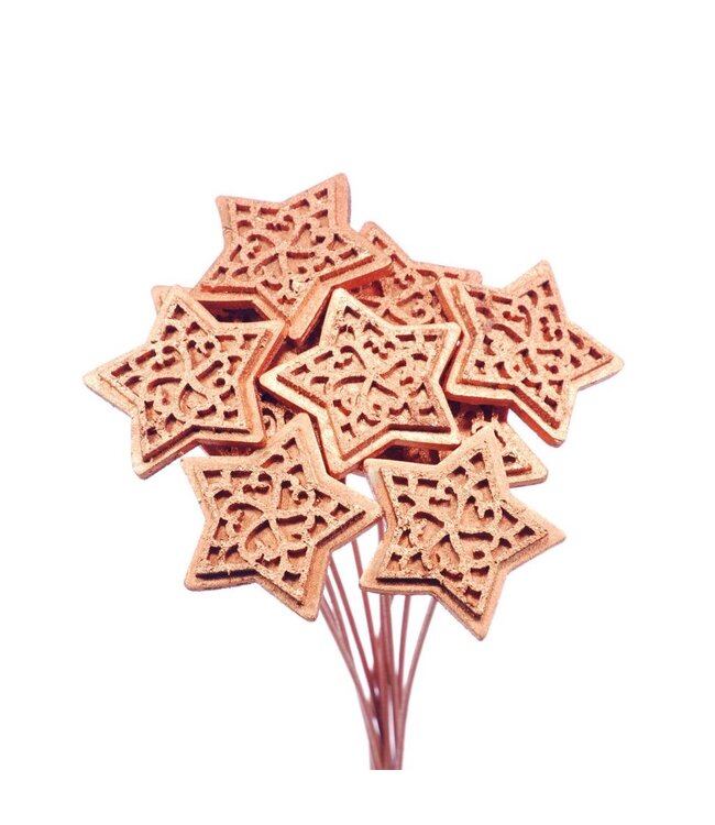 Wood/felt star 7cm o/s 10pc copper | Per 18 stuks te bestellen