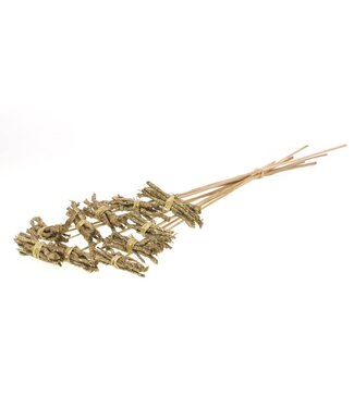 LDD Cocochain posy 8cm o/s 10pc natural gold touch | Per 18 stuks