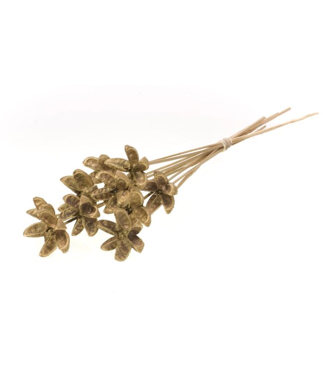 Cartoos Flower on stem 10pc natural gold touch | Per 15 stuks te bestellen