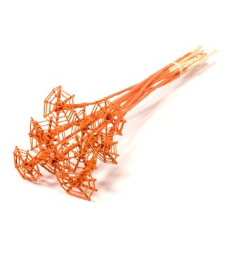 LDD Lata spider web 8cm o/s flat 10pc orange spring | Per 15 stuks