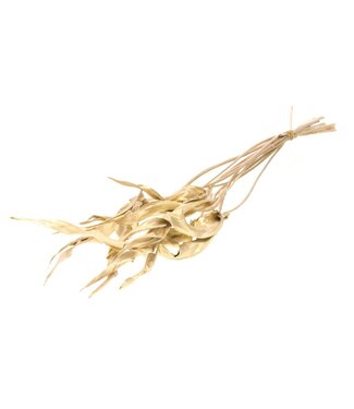 LDD Gold-coloured dried Strelitzia leaf | 10 pieces per bunch