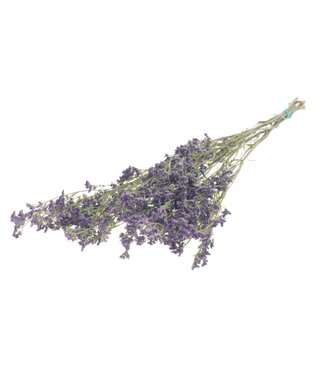 LDD Limonium natural purple | Per 25 stuks