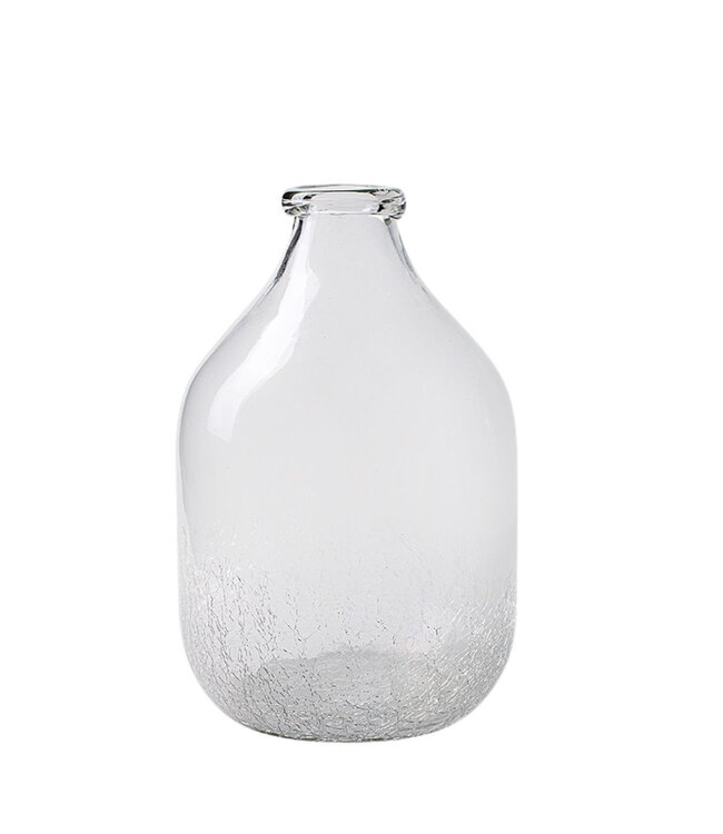 Glas Flesvaas Bowien d4/15*24cm | Per 8 stuks te bestellen