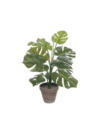 4A Plante artificielle Monstera verte en pot | Diamètre min. 13 centimètres Diamètre max. 39 centimètres | Hauteur 48 centimètres | Par 4 pièces