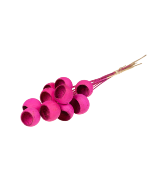 LDD Bell cup o/s 10pc cerise ( x 12 )