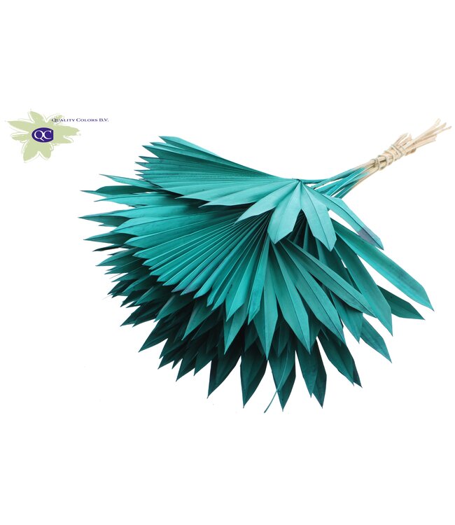 Turquoise dried palm leaf | Sun Spear dried flowers | Order per 50 palm leaves