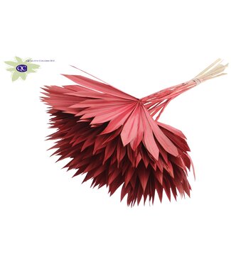 QC Red dried palm leaf | Sun Spear dried flowers | Per 50 pieces