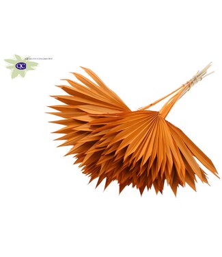 QC Orange dried palm leaf | Sun Spear dried flowers | Per 50 pieces