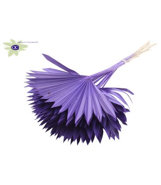 QC Purple dried palm leaf | Sun Spear dried flowers | Per 50 pieces