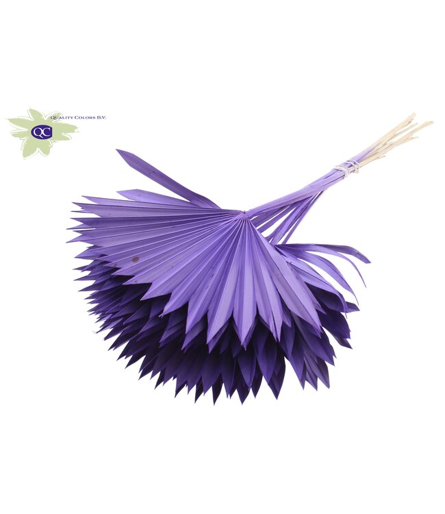 Purple dried palm leaf | Sun Spear dried flowers | Order per 50 palm leaves