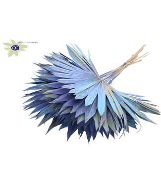 QC Light blue with mixed colours dried palm leaf | Sun Spear dried flowers | Per 50 pieces