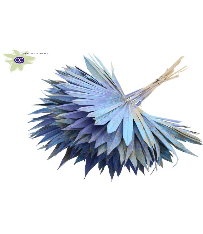 Light blue with mixed colours dried palm leaf | Sun Spear dried flowers | Order per 50 palm leaves