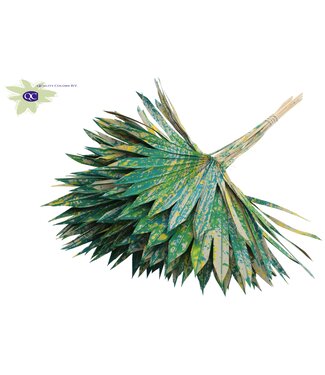 QC Green with mixed colours dried palm leaf | Sun Spear dried flowers | Per 50 pieces