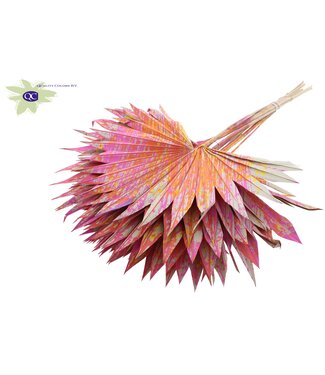 QC Christmas colour with mixed colours dried palm leaf | Sun Spear dried flowers | Per 50 pieces