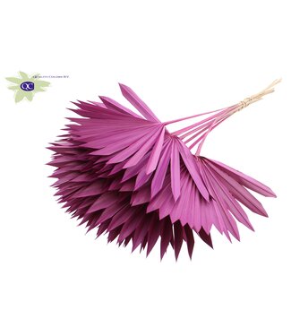 QC Lilac-coloured dried palm leaf | Sun Spear dried flowers | Per 50 pieces