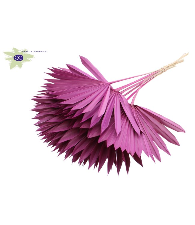 Lilac-coloured dried palm leaf | Sun Spear dried flowers | Order per 50 palm leaves