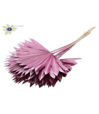 QC Metallic pink dried palm leaf | Sun Spear dried flowers | Per 50 pieces