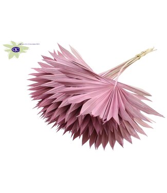 QC Matt pink dried palm leaf | Sun Spear dried flowers | Per 50 pieces