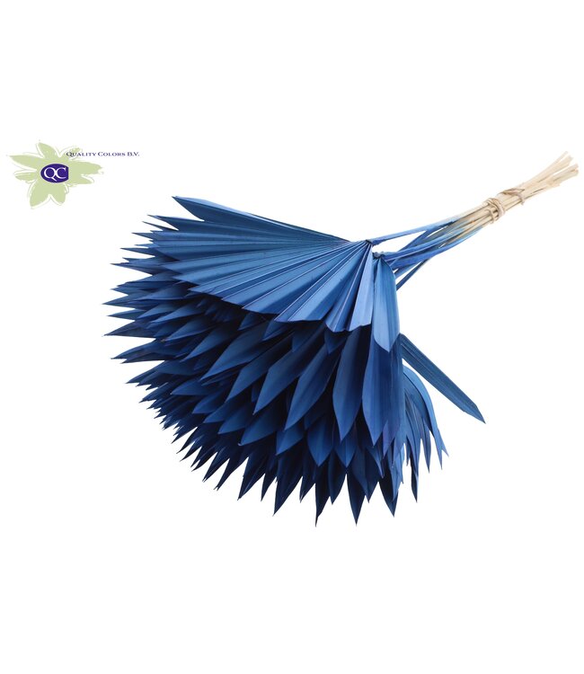 Blauw gedroogd palmblad | Sun Spear droogbloemen | Per 50 palmbladeren te bestellen