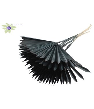 QC Black dried palm leaf | Sun Spear dried flowers | Per 50 pieces