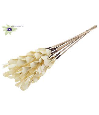 QC Natural Palm Pine on stem | Length 50 centimetres | Per 50 pieces