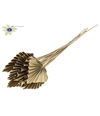 QC Palm Spear per stem Antique Gold | Per 50 stuks